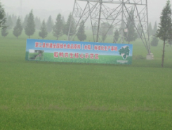 全国绿色食品原料（水稻）标准化生产基地